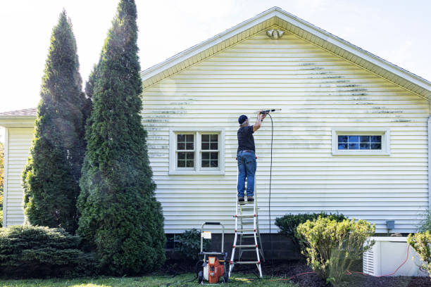 Best Patio and Deck Pressure Washing  in Snead, AL